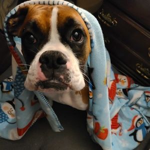 Meet your Posher, Amber